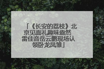 《长安的荔枝》北京见面礼趣味盎然 雷佳音岳云鹏现场认领卧龙凤雏
