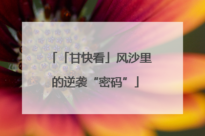「甘快看」风沙里的逆袭“密码”