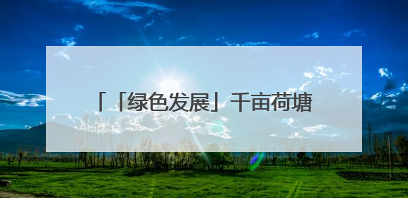「绿色发展」千亩荷塘 十年新生｜四任航空村官的“生态接力”