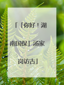 「你好！湖南国保」汤家岗访古