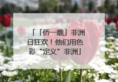 「侨一瞧」非洲日狂欢！他们用色彩“定义”非洲