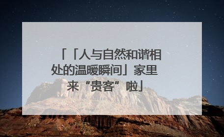 「人与自然和谐相处的温暖瞬间」家里来“贵客”啦