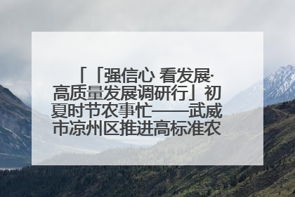 「强信心 看发展·高质量发展调研行」初夏时节农事忙——武威市凉州区推进高标准农田建设见闻