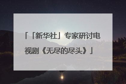 「新华社」专家研讨电视剧《无尽的尽头》