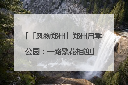 「风物郑州」郑州月季公园：一路繁花相迎