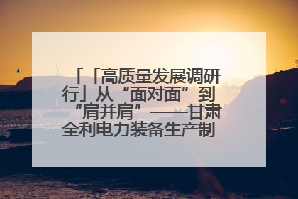 「高质量发展调研行」从“面对面”到“肩并肩”——甘肃全利电力装备生产制造项目一线见闻
