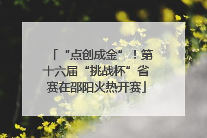 “点创成金”！第十六届“挑战杯”省赛在邵阳火热开赛