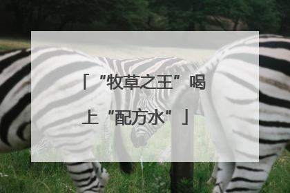 “牧草之王”喝上“配方水”