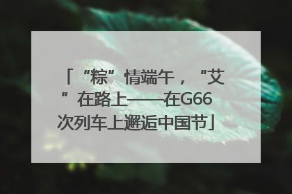 “粽”情端午，“艾”在路上——在G66次列车上邂逅中国节
