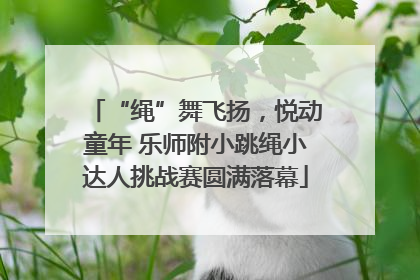“绳”舞飞扬，悦动童年 乐师附小跳绳小达人挑战赛圆满落幕