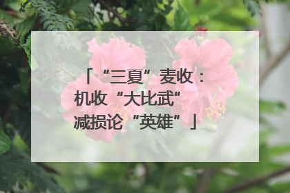 “三夏”麦收：机收“大比武” 减损论“英雄”