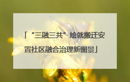 “三融三共”绘就搬迁安置社区融合治理新图景