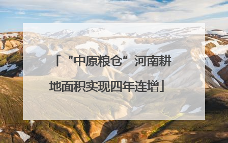 “中原粮仓”河南耕地面积实现四年连增