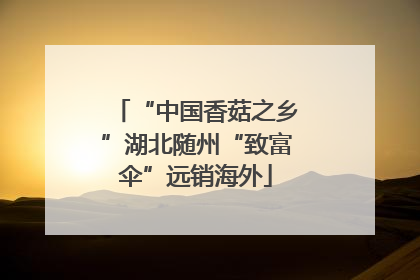 “中国香菇之乡”湖北随州“致富伞”远销海外