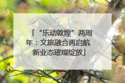 “乐动敦煌”两周年：文旅融合再启航 新业态璀璨绽放