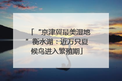 “京津冀最美湿地”衡水湖：近万只夏候鸟进入繁殖期