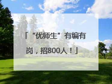 “优师生”有编有岗，招800人！