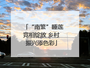“南繁”睡莲竞相绽放 乡村振兴添色彩