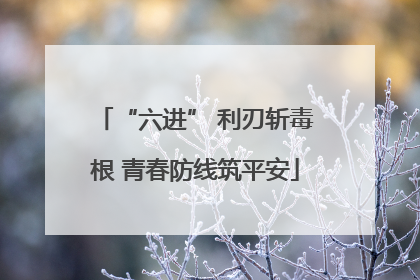 “六进” 利刃斩毒根 青春防线筑平安
