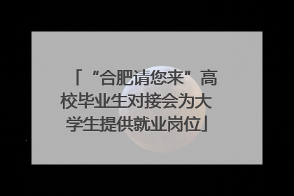 “合肥请您来”高校毕业生对接会为大学生提供就业岗位