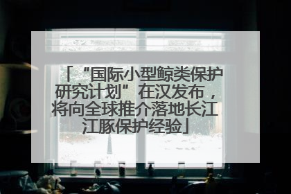 “国际小型鲸类保护研究计划”在汉发布，将向全球推介落地长江江豚保护经验