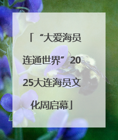 “大爱海员 连通世界”2025大连海员文化周启幕