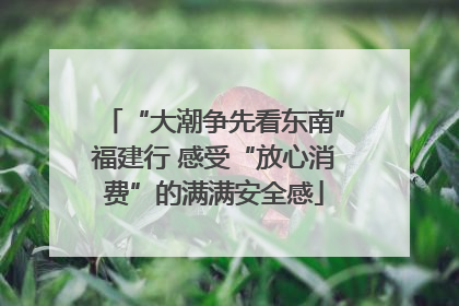 “大潮争先看东南”福建行 感受“放心消费”的满满安全感