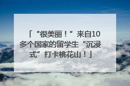 “很美丽！”来自10多个国家的留学生“沉浸式”打卡桃花山！