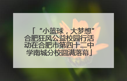 “小篮球，大梦想”合肥狂风公益校园行活动在合肥市第四十二中学南城分校圆满落幕
