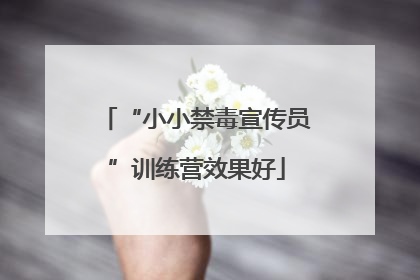 “小小禁毒宣传员”训练营效果好