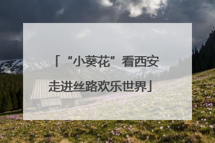 “小葵花”看西安走进丝路欢乐世界