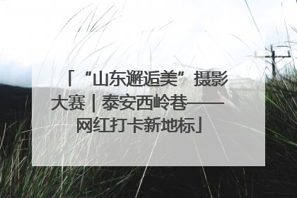 “山东邂逅美”摄影大赛｜泰安西岭巷——网红打卡新地标