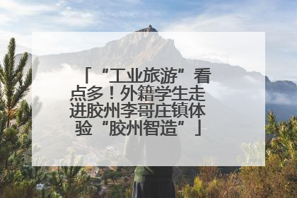 “工业旅游”看点多！外籍学生走进胶州李哥庄镇体验“胶州智造”