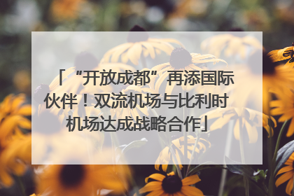 “开放成都”再添国际伙伴！双流机场与比利时机场达成战略合作