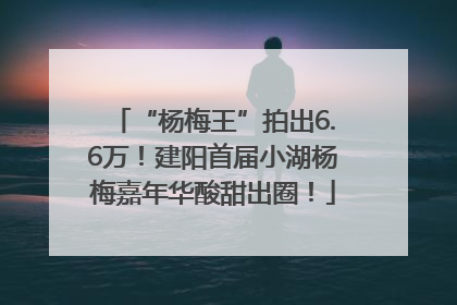 “杨梅王”拍出6.6万！建阳首届小湖杨梅嘉年华酸甜出圈！