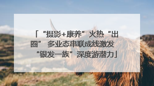 “摄影+康养”火热“出圈” 多业态串联成线激发“银发一族”深度游潜力