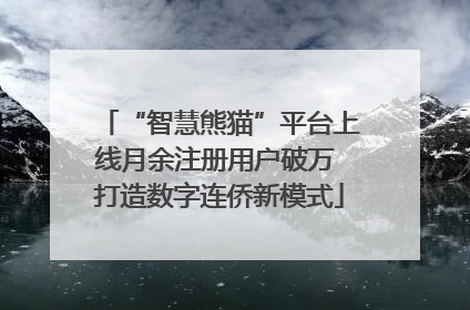 “智慧熊猫”平台上线月余注册用户破万 打造数字连侨新模式