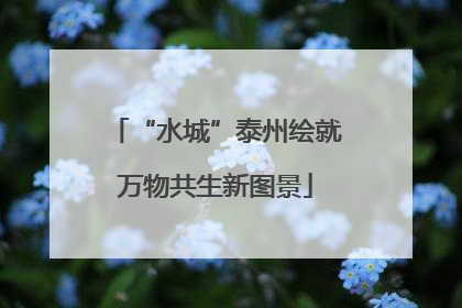 “水城”泰州绘就万物共生新图景