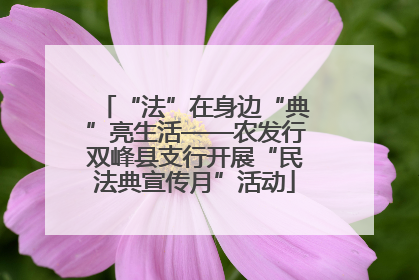 “法”在身边“典”亮生活——农发行双峰县支行开展“民法典宣传月”活动