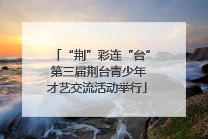 “荆”彩连“台” 第三届荆台青少年才艺交流活动举行