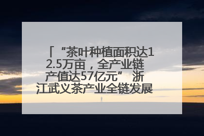 “茶叶种植面积达12.5万亩，全产业链产值达57亿元” 浙江武义茶产业全链发展“加速度”