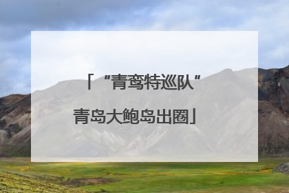 “青鸾特巡队”青岛大鲍岛出圈