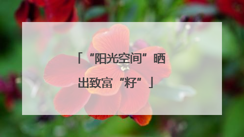 “阳光空间”晒出致富“籽”