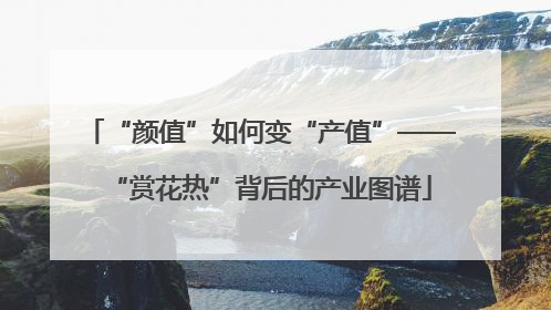 “颜值”如何变“产值”——“赏花热”背后的产业图谱