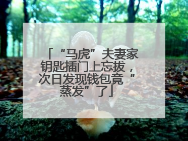 “马虎”夫妻家钥匙插门上忘拔，次日发现钱包竟“蒸发”了