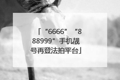 “6666”“888999”手机靓号再登法拍平台