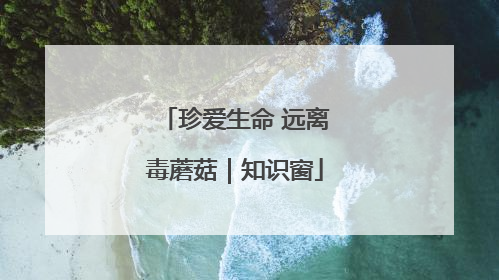 珍爱生命 远离毒蘑菇｜知识窗