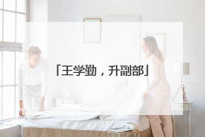 王学勤，升副部