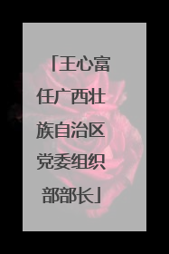 王心富任广西壮族自治区党委组织部部长