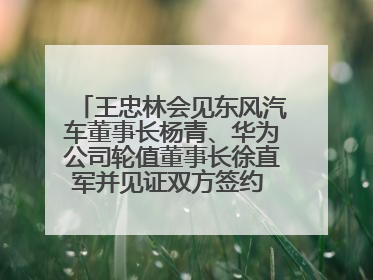 王忠林会见东风汽车董事长杨青、华为公司轮值董事长徐直军并见证双方签约 推动优势互补 实现共赢发展